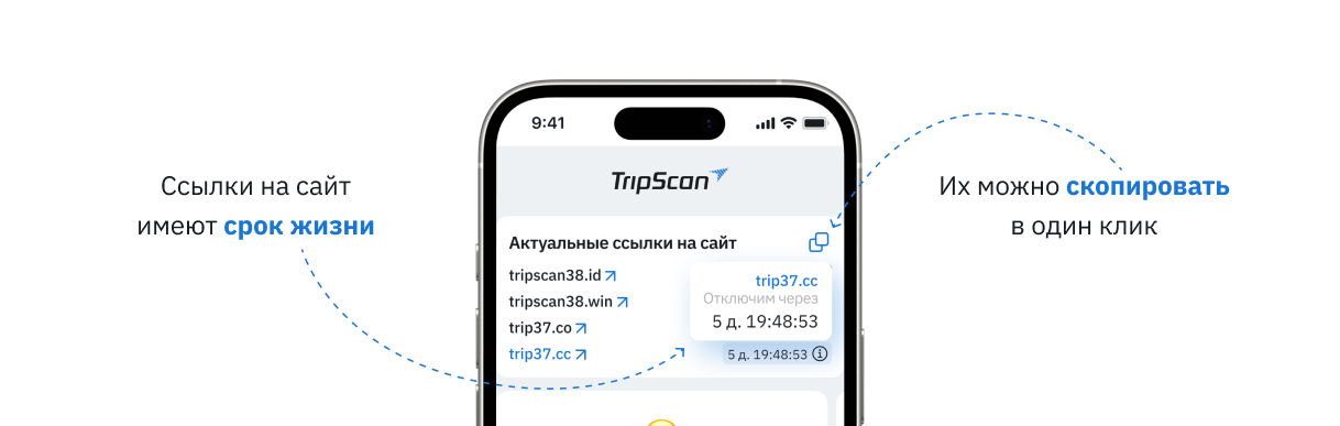 TripScan баннер 2